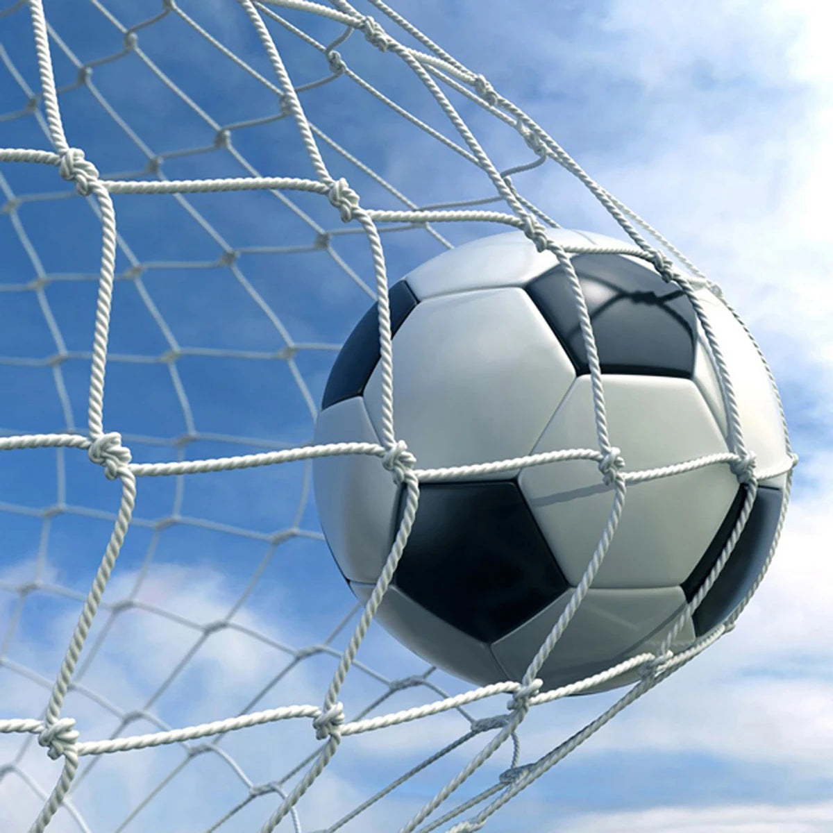 Soccer Goal Net Football Training Net Anti-impact Footballss
